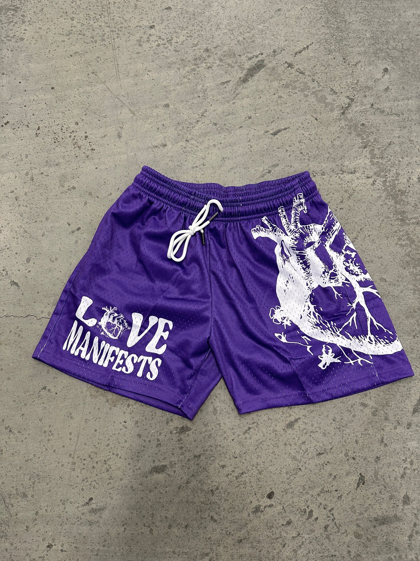 Single Heart Purple Mesh Shorts