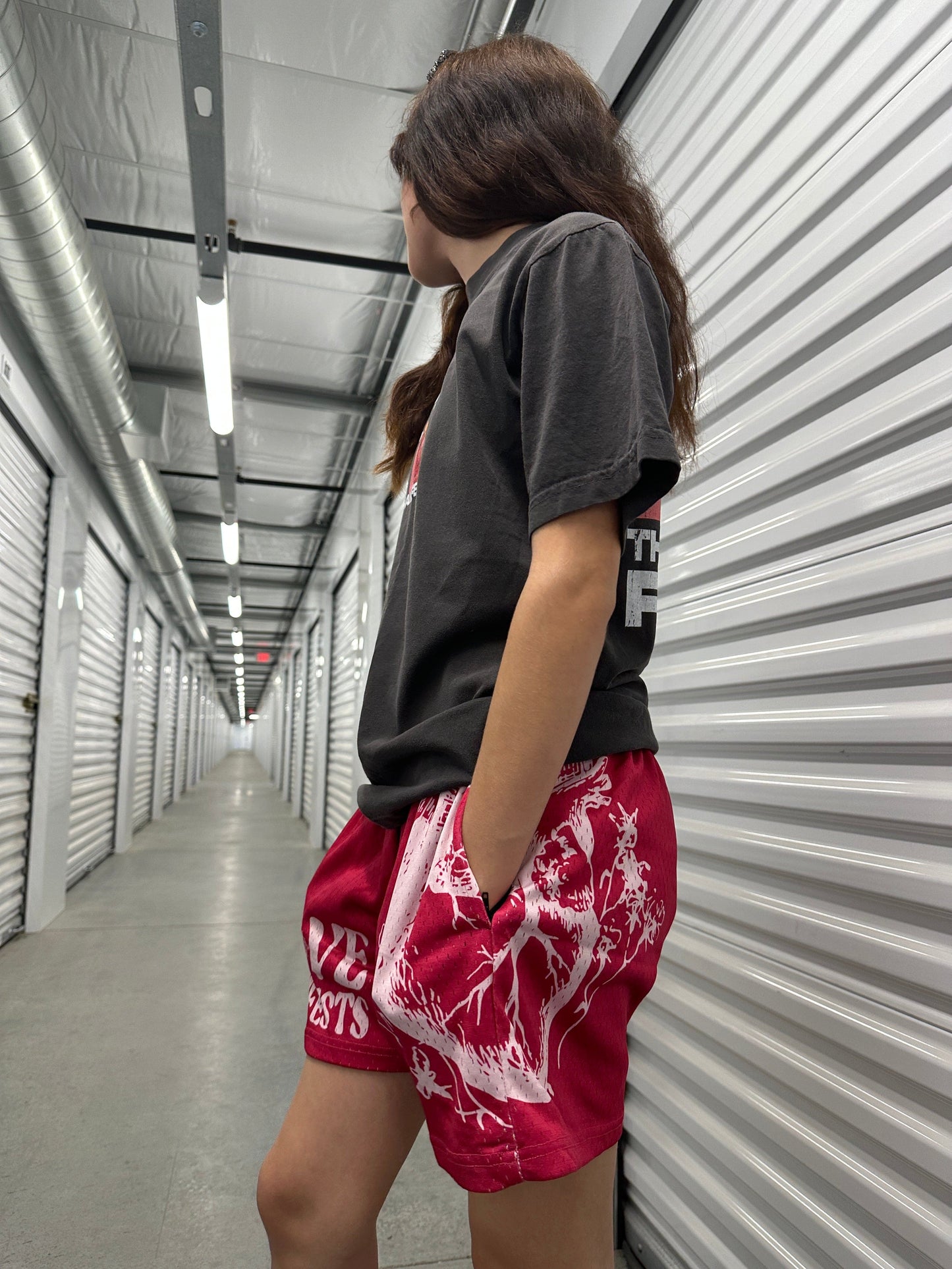 Single Heart Pink Mesh Shorts